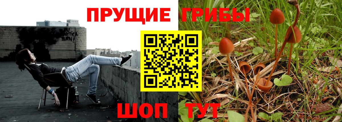 как найти наркотики  Курск  Галлюциногенные грибы мухоморы 