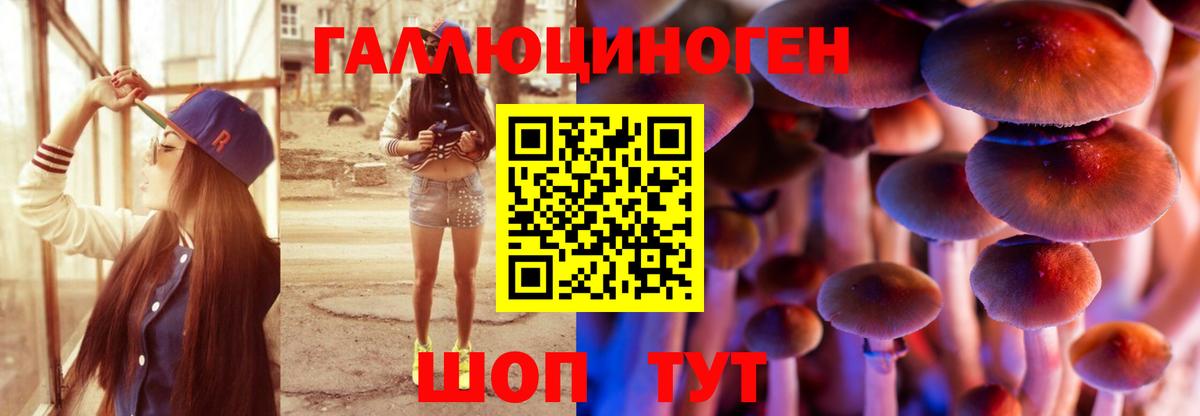 Галлюциногенные грибы мухоморы Курск