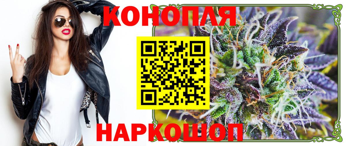 Каннабис планчик Курск